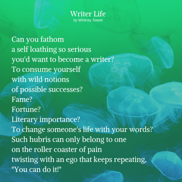 Can you fathom a self loathing so serious you'd want to become a writer_ To consume yourself with wild notions of possible successes_ Fame_ Fortune_ Literary importance_ To change someone's life with your words_